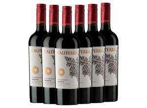 7804304105064 - Caliterra Reserva Carmenere - 6er Karton