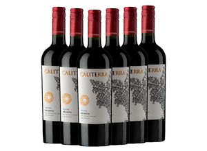 7804304105118 - Caliterra Reserva Merlot - 6er Karton