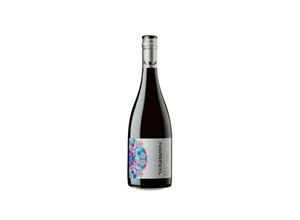 7804620040360 - Pinot Noir Reserva 2020 - 75cl