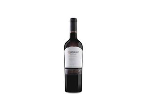 7808725400517 - Viña Ventisquero Queulat Gran Reserva Carmenère Syrah 2020 - 75cl