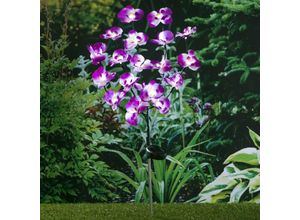 7860987498596 - Sweiko - hi LED-Solar-Orchidee 75 cm