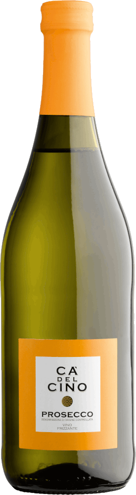 8002335293067 - Prosecco Frizzante Ca del Cino DOC von Vista Vina 6 Flaschen Sparpaket mit je 075l