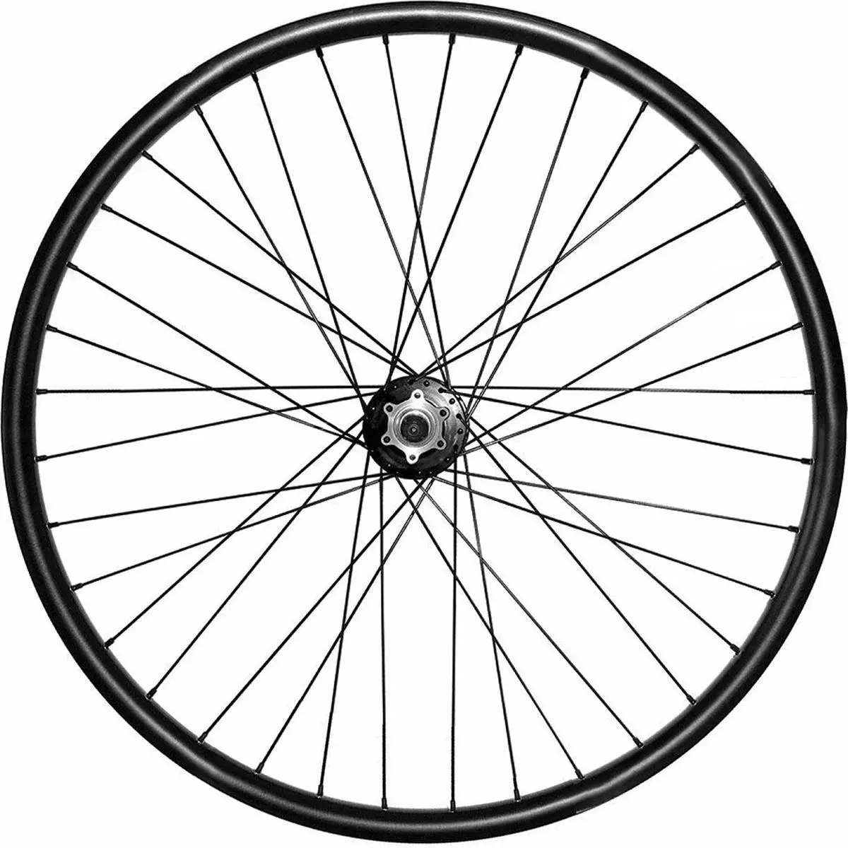 8005586216816 - Vorderrad MTB 26 aus Aluminium mit Doppelkammer und 36 Speichen für Scheibenbremsen