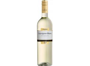 8007890001546 - Sauvignon Blanc Italieno DOC Mastri Vernacoli Italien trocken