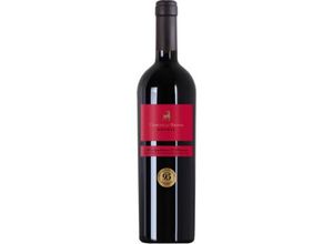 8008863047417 - Montepulciano dAbruzzo Riserva Terre della Brunda 2020 - Botter