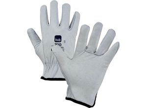 8009798699627 - - 12 x handschuhe herd rind all white grain gg 8