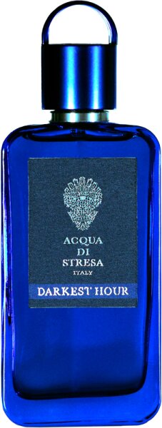 8012423080097 - Darkest Hour Eau de Parfum (EdP) 100 ml