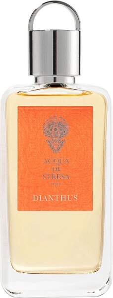 8012423081049 - Dianthus Eau de Parfum (EdP) 100 ml