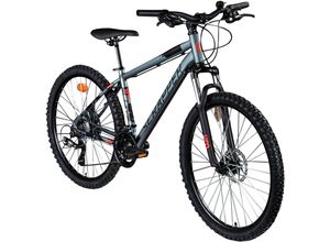 8015244528182 - XC 31 LTD Mountainbike 26 Zoll Fahrrad Jugendliche oder Erwachsene 165 - 180 cm Hardtail MTB 21 Gang