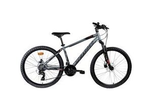 8015244570693 - Mountainbike XC 31 LTD M MTB Hardtail 26 Zoll RH 44cm 21-Gang silber rot