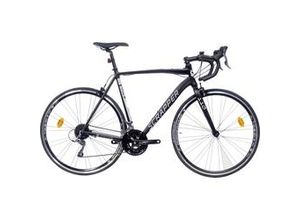 8015244980263 - Rennrad SPEGO 110 20 L 28 Zoll RH 57cm 24-Gang schwarz