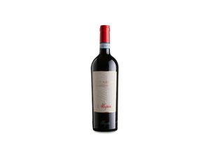 8015822010481 - Valpolicella Classico 2022 - 75cl