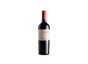 8015822010603 - Valpolicella 2022 - 75cl