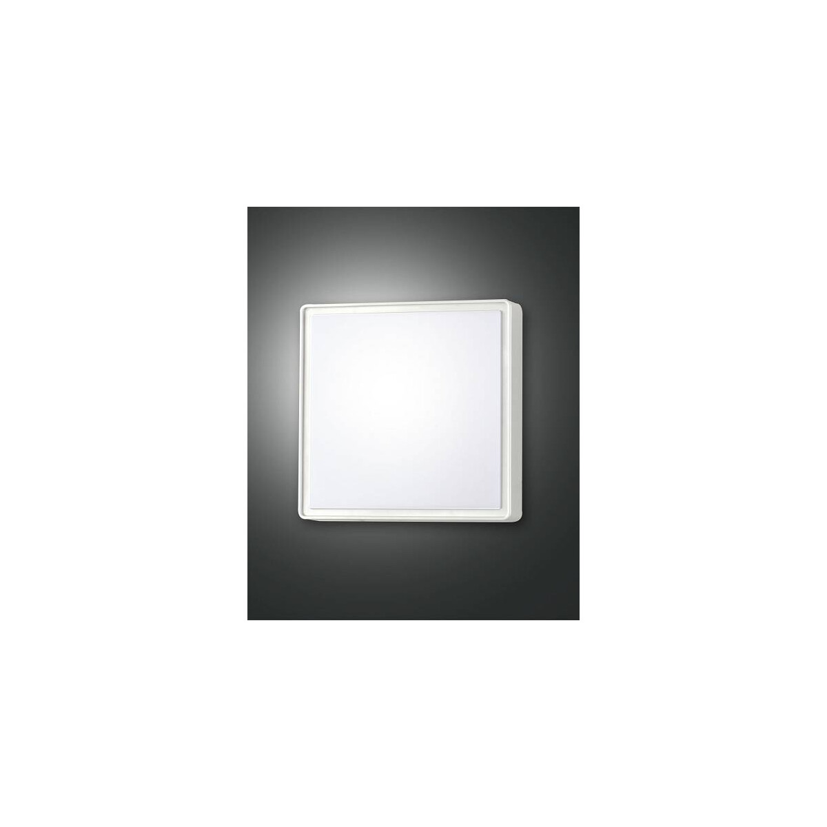 8019282060536 - Fabas Luce Lighting - Fabas Luce Oban led Outdoor bündiges weißes Glas IP65