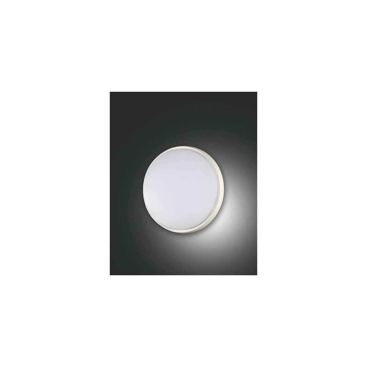 8019282076827 - Olly Deckenleuchte LED 10W Aluminium und Polycarbonat Weiss