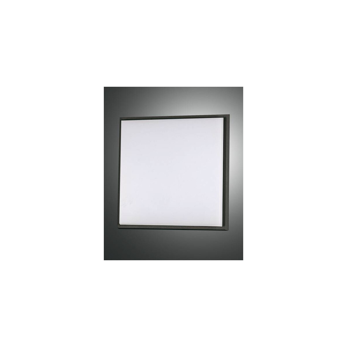 8019282094418 - Fabas Luce Lighting - Fabas Luce Desdy LED-Außenaufbau-Downlight Schwarzglas IP54