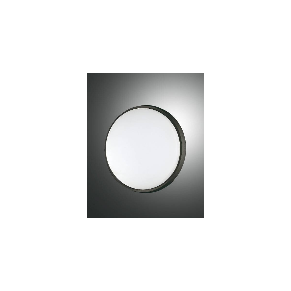 8019282094470 - Fabas Luce Lighting - Fabas Luce Olly LED-Außenaufbau-Downlight Schwarzglas IP54