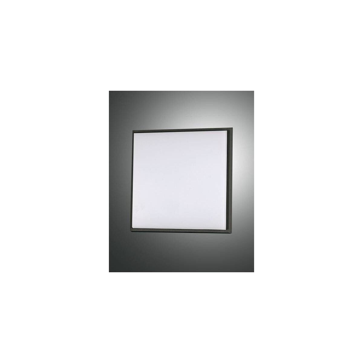 8019282096276 - Fabas Luce Lighting - Fabas Luce Desdy LED-Außenaufbau-Downlight Schwarzglas IP54