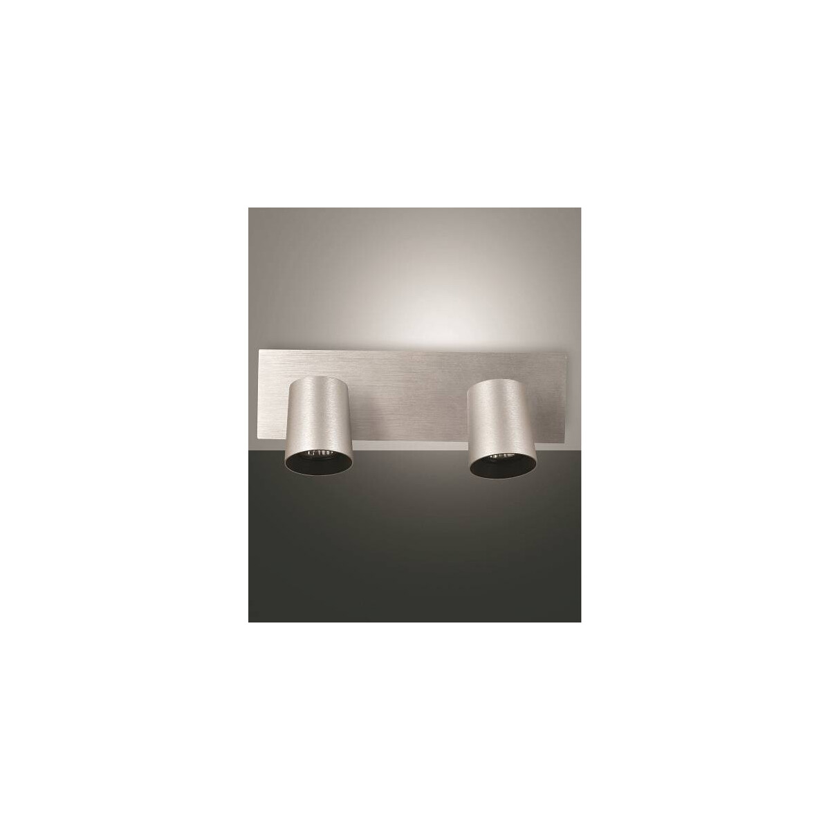 8019282112112 - Fabas Luce Lighting - Fabas Luce Deckenleuchte Mono in Aluminium-gebürstet 2xGU10