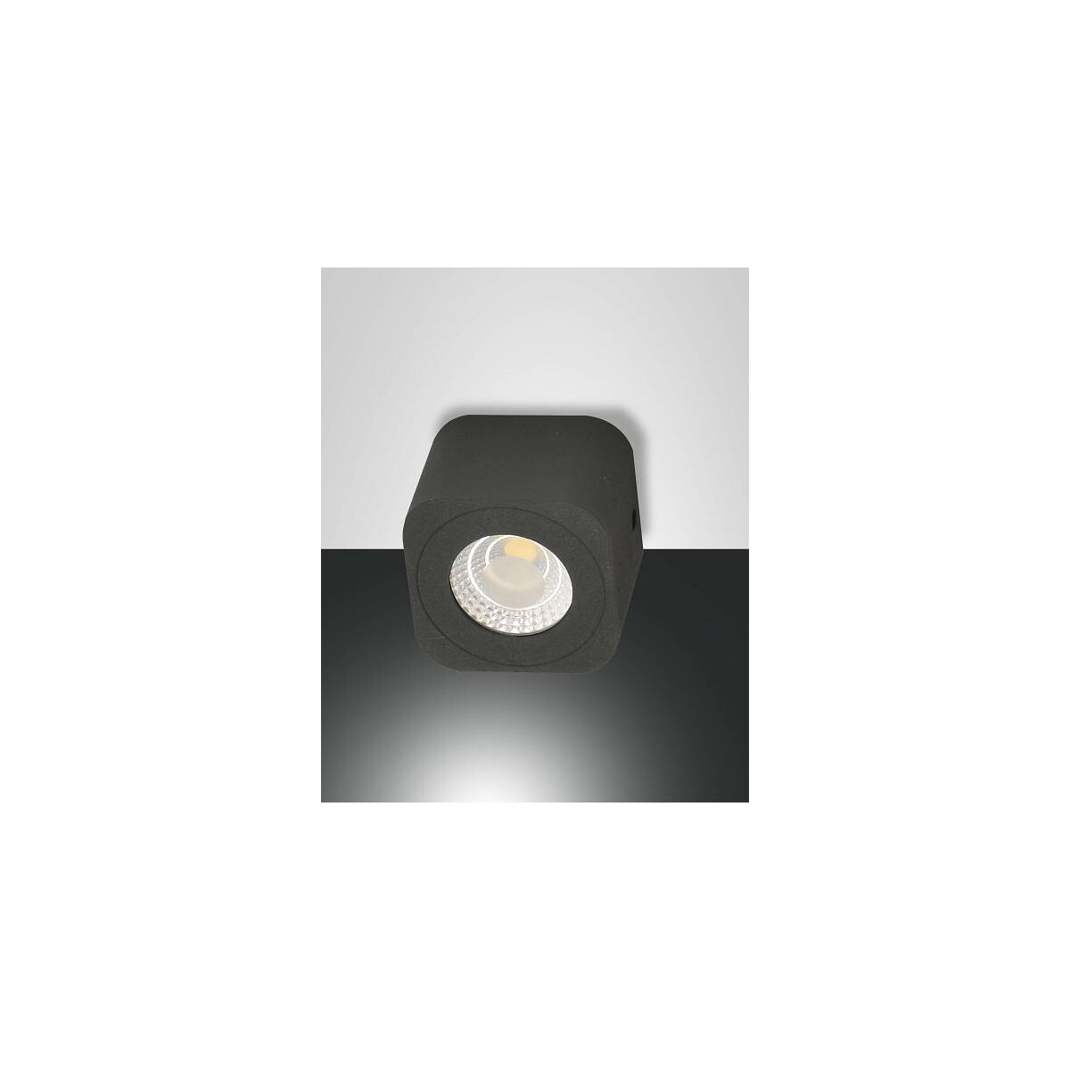 8019282112310 - Led Deckenleuchte Palmi in Anthrazit - black - Fabas Luce