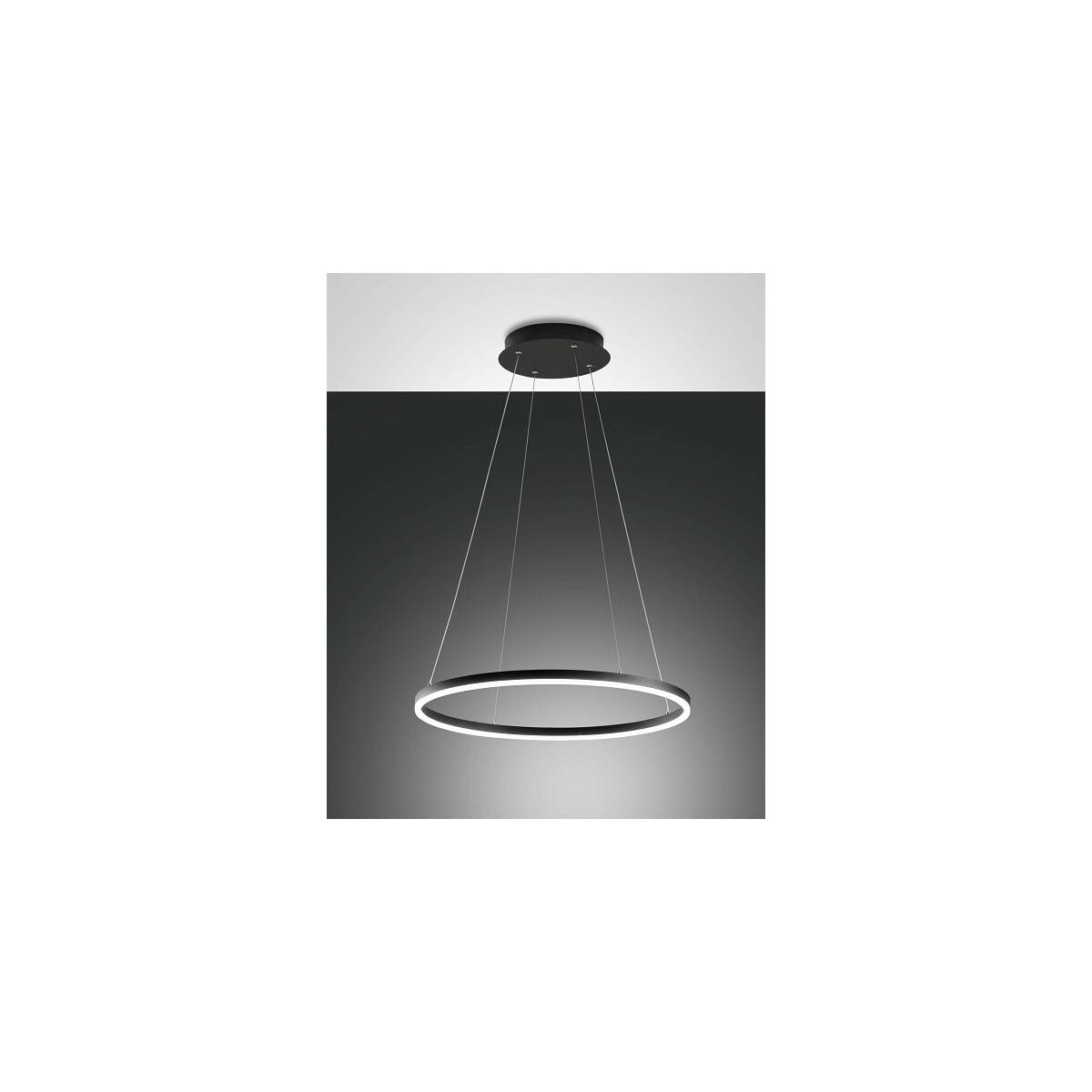 8019282508014 - Fabas Luce Lighting - Fabas Luce Giotto LED-Deckenpendelleuchte mit integrierter Leuchte aus schwarzem Glas