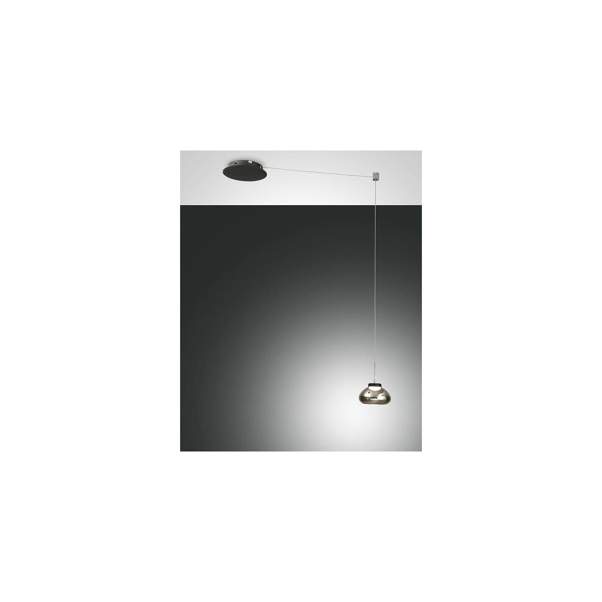 8019282511441 - Fabas Luce Lighting - Fabas Luce Arabella LED-Kuppel-Pendel-Deckenleuchten transparentes graues Glas