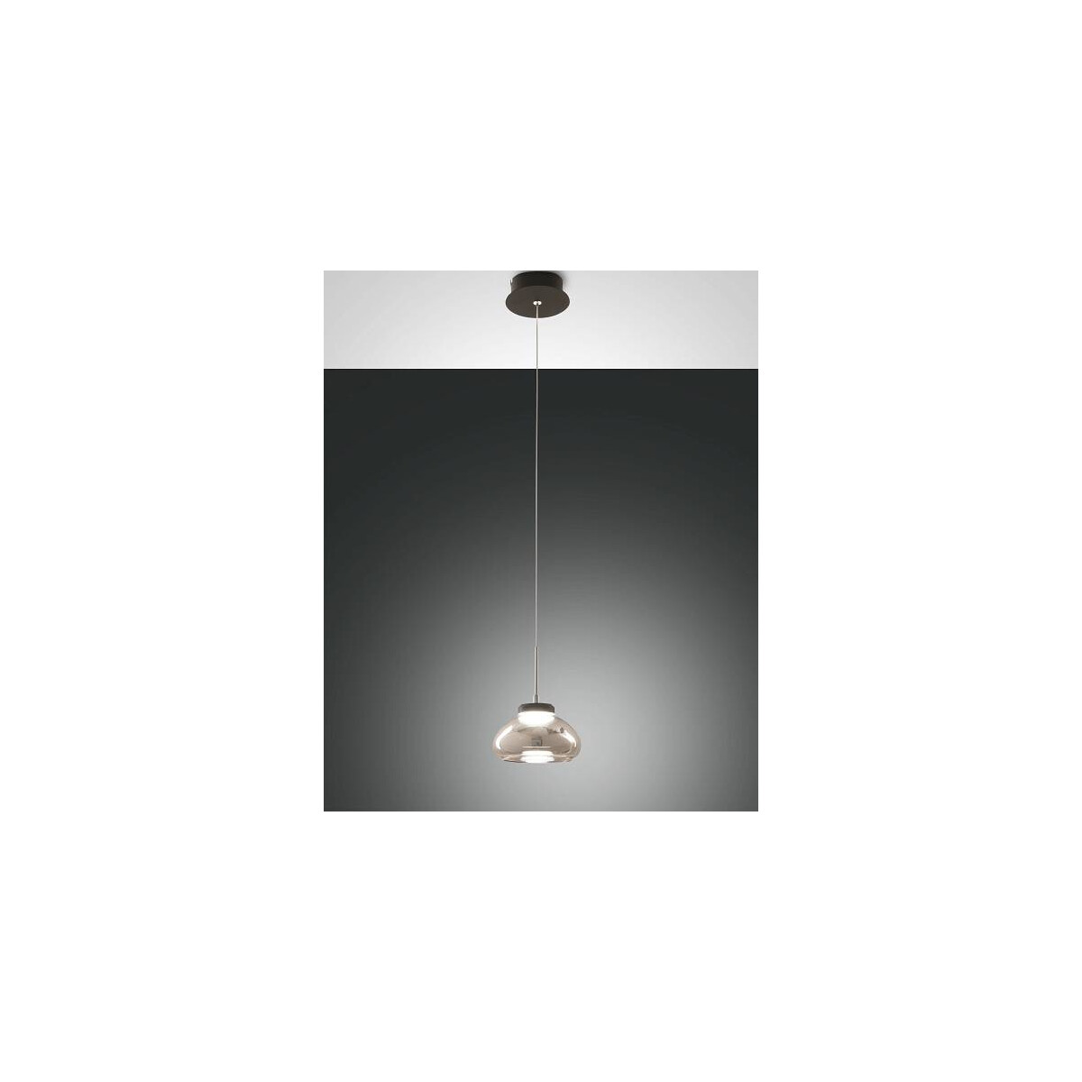 8019282513780 - Arabella Pendelleuchte inkl Smartluce LED 1x8W Metall und geblasenes Glas Grau transparent