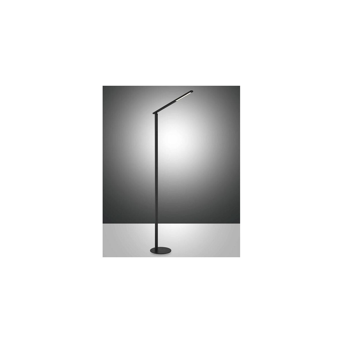 8019282515135 - Fabas Luce Lighting - Fabas Luce Ideal led integrierte Stehlampe aus schwarzem Glas