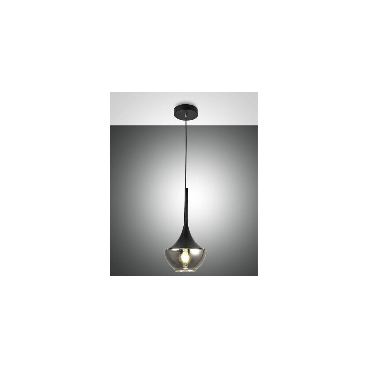 8019282517634 - Fabas Luce Lighting - Fabas Luce Apollo Dome Pendel-Deckenleuchten Glas schwarz E27