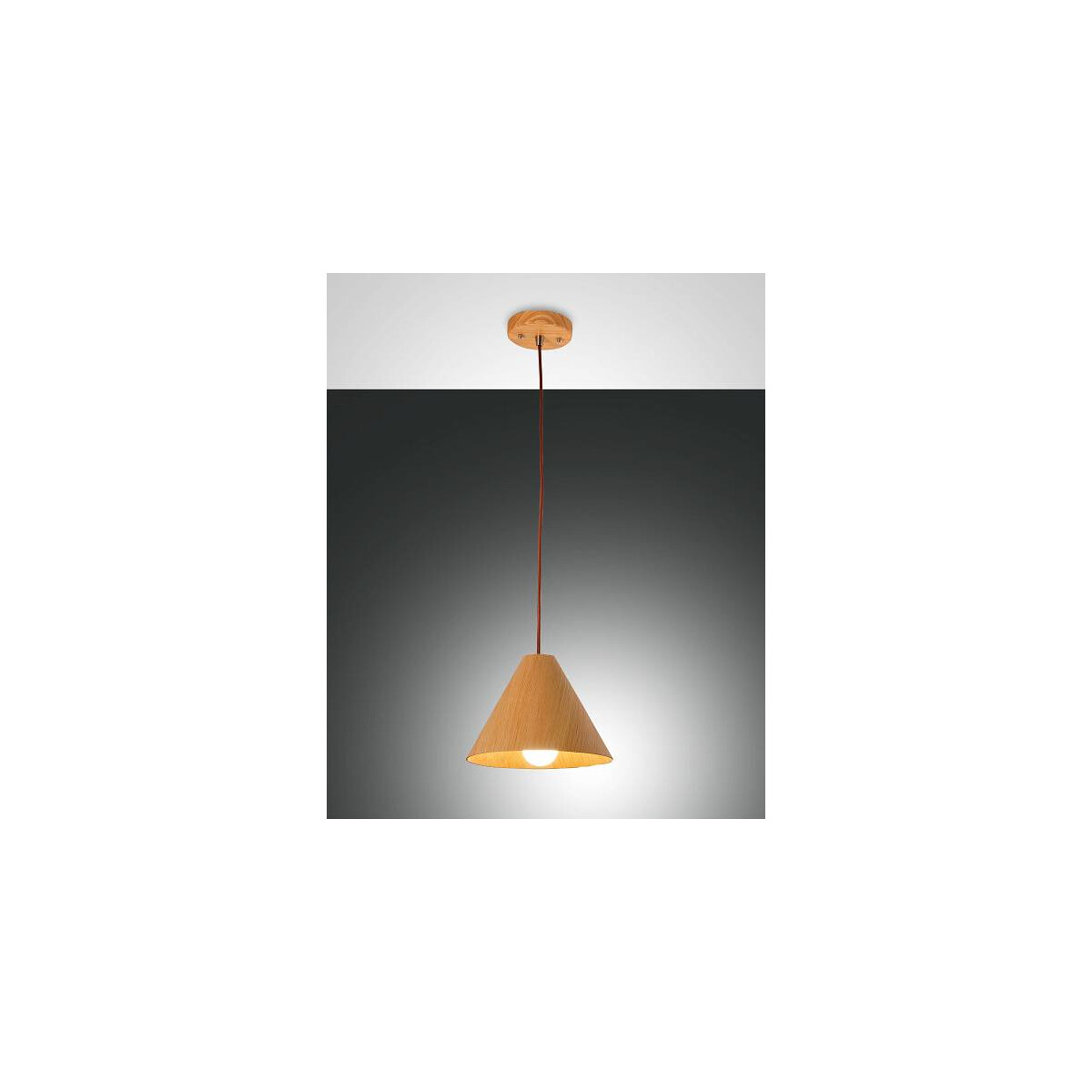 8019282518952 - Fabas Luce Lighting - Fabas Luce Esino Dome Pendel-Deckenleuchten Eiche Glas E27