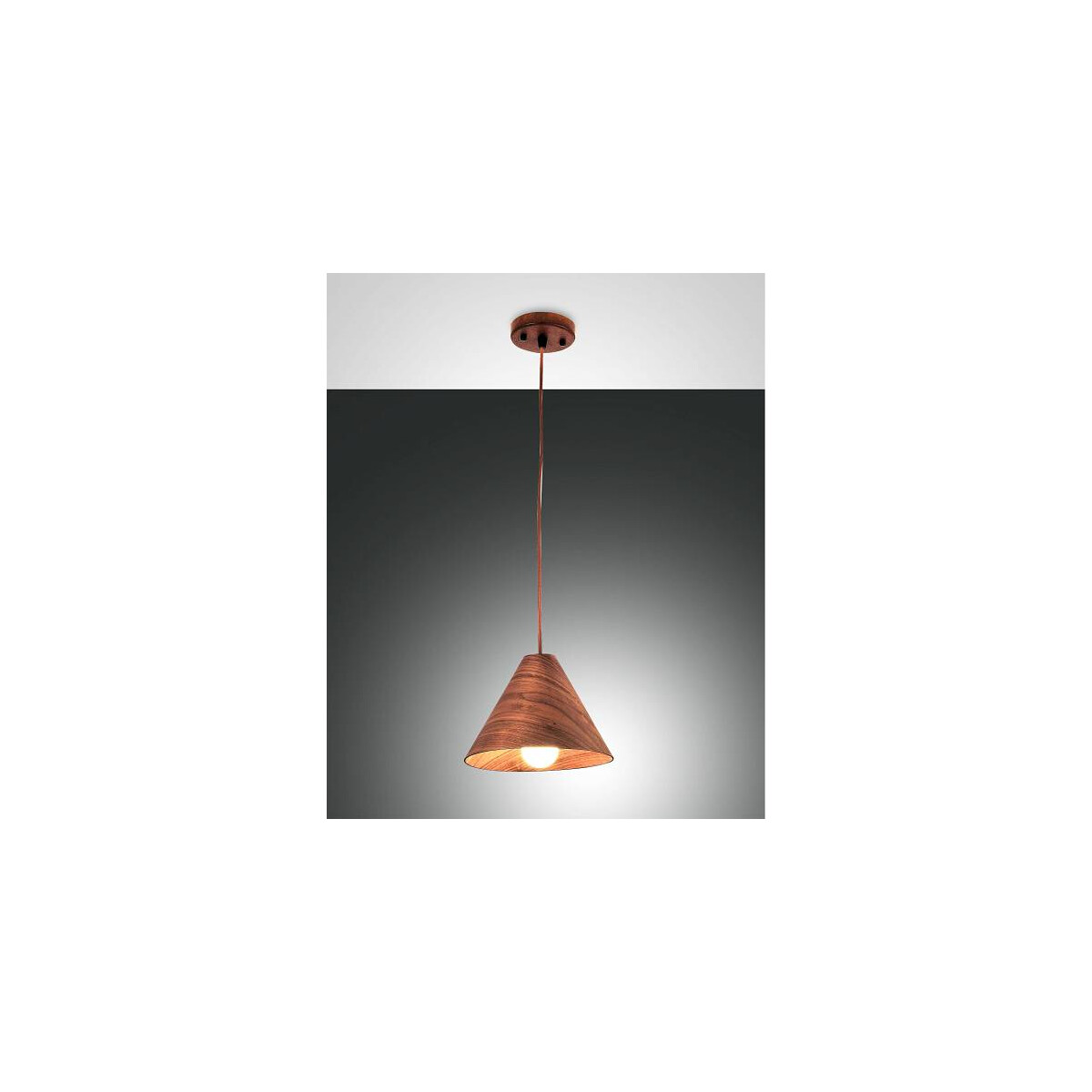 8019282518990 - Fabas Luce Lighting - Fabas Luce Esino Dome Pendel-Deckenleuchten Nussbaum Glas E27