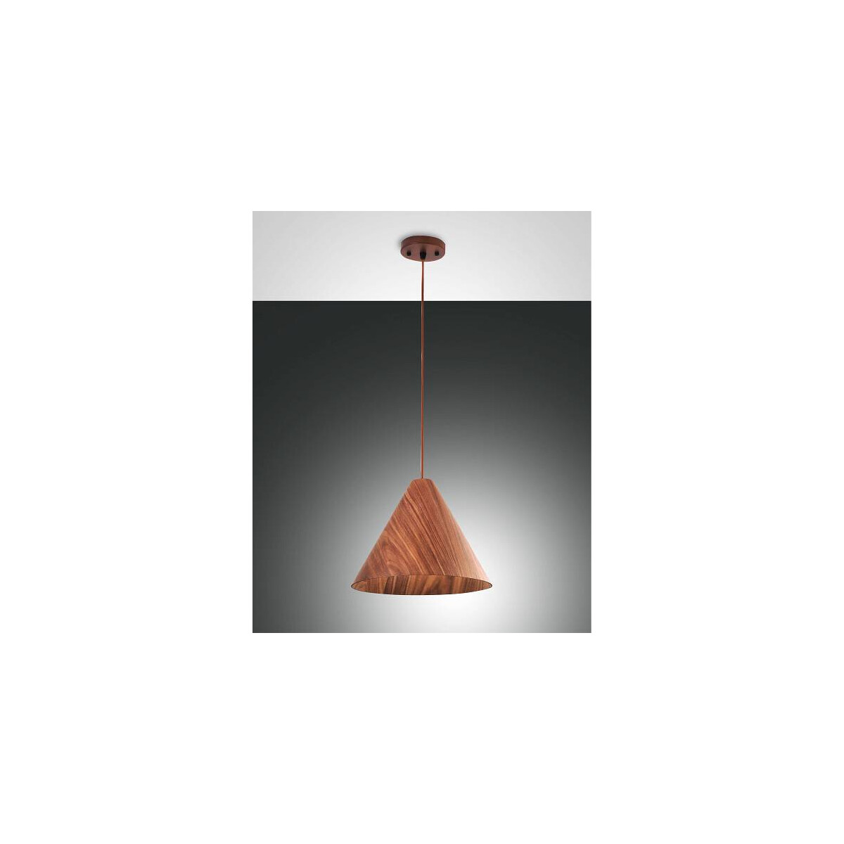 8019282519003 - Fabas Luce Lighting - Fabas Luce Esino Dome Pendel-Deckenleuchten Nussbaum Glas E27