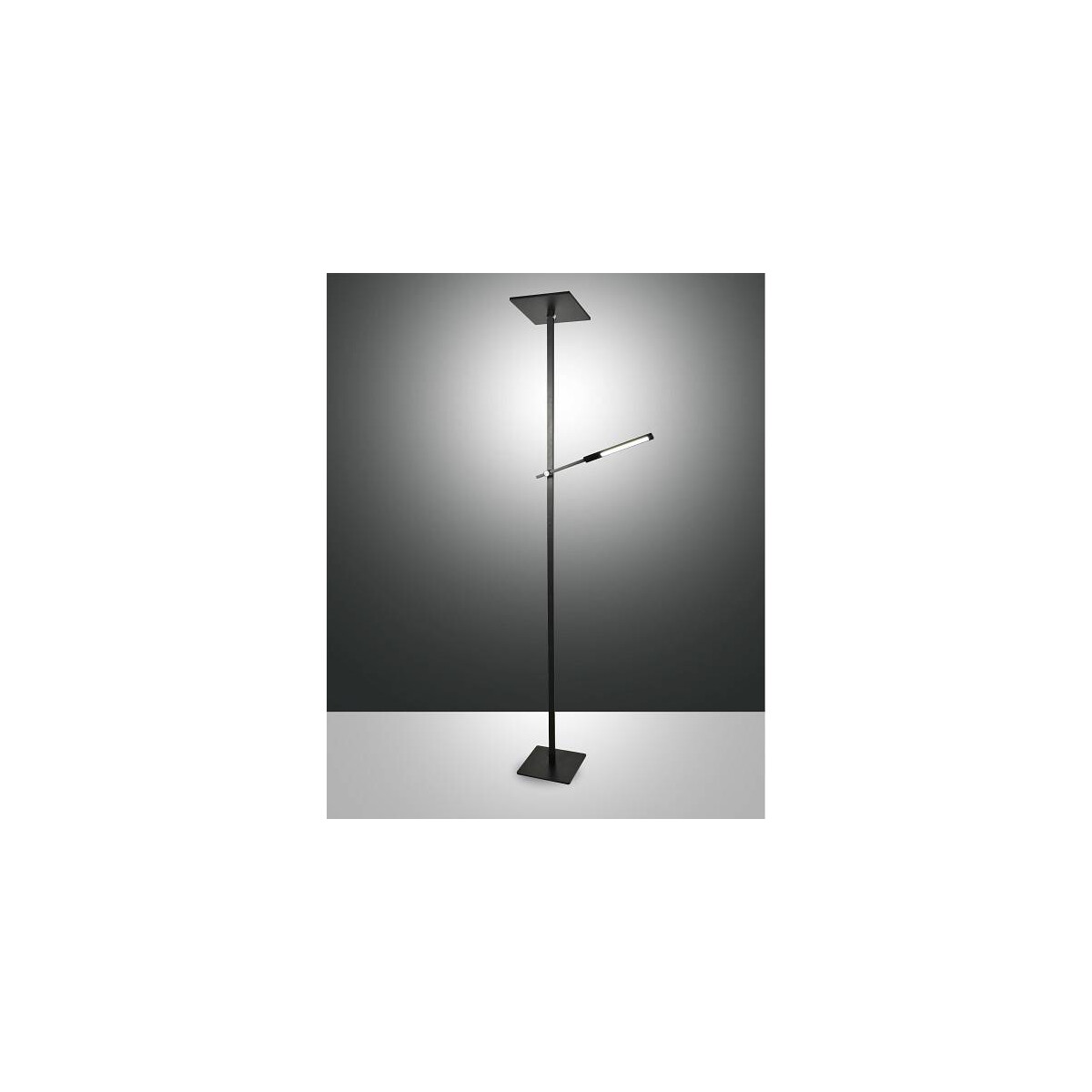 8019282519089 - Fabas Luce Lighting - Fabas Luce Ideal led integrierte Stehlampe aus schwarzem Glas