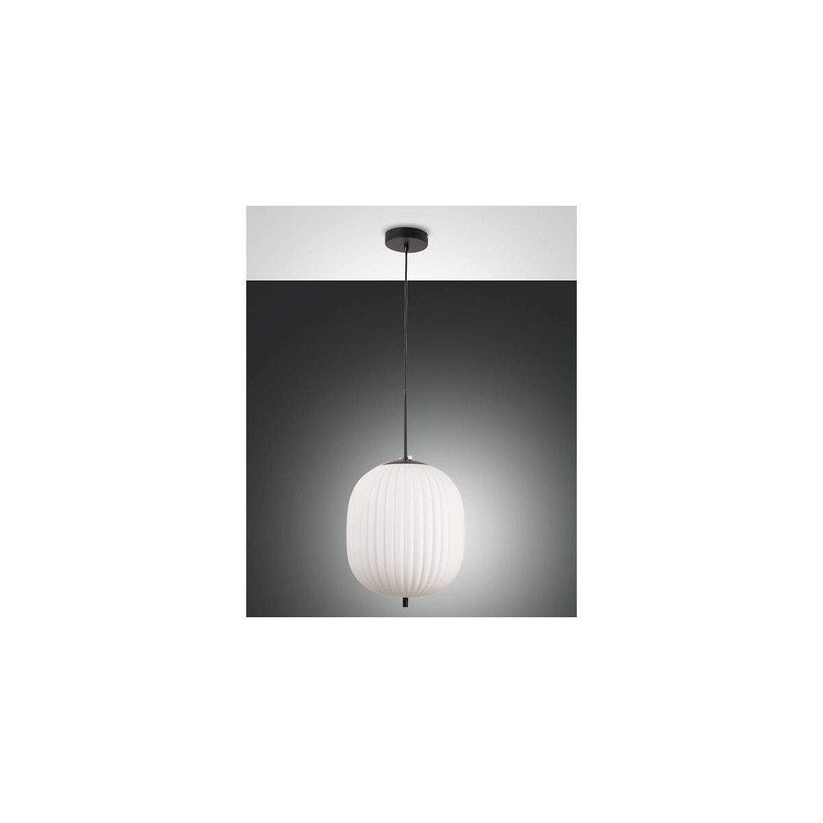 8019282533108 - Fabas Luce Lighting - Fabas Luce Domizia Globe Pendel-Deckenleuchten Glas schwarz E27