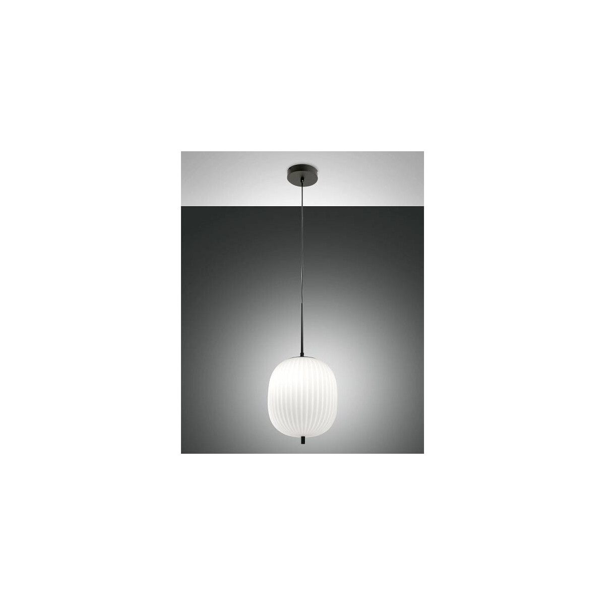 8019282533115 - Fabas Luce Lighting - Fabas Luce Domizia Globe Pendel-Deckenleuchten Glas schwarz E27