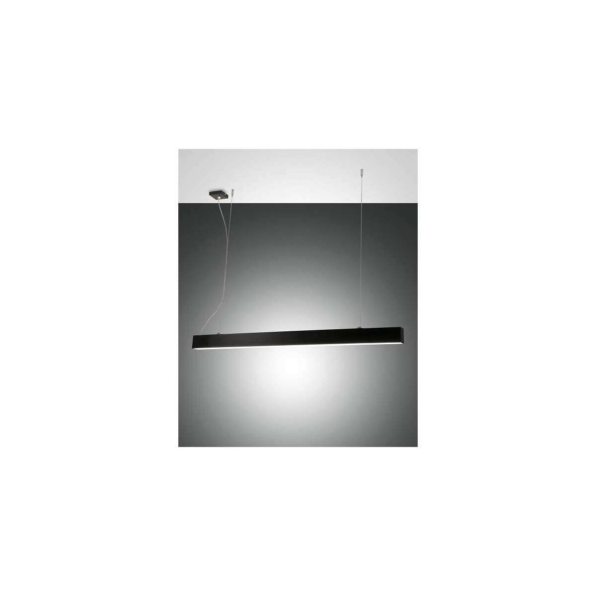 8019282533542 - Fabas Luce Lighting - Fabas Luce Next LED-Deckenpendelleuchte mit integrierter Leuchte aus schwarzem Glas