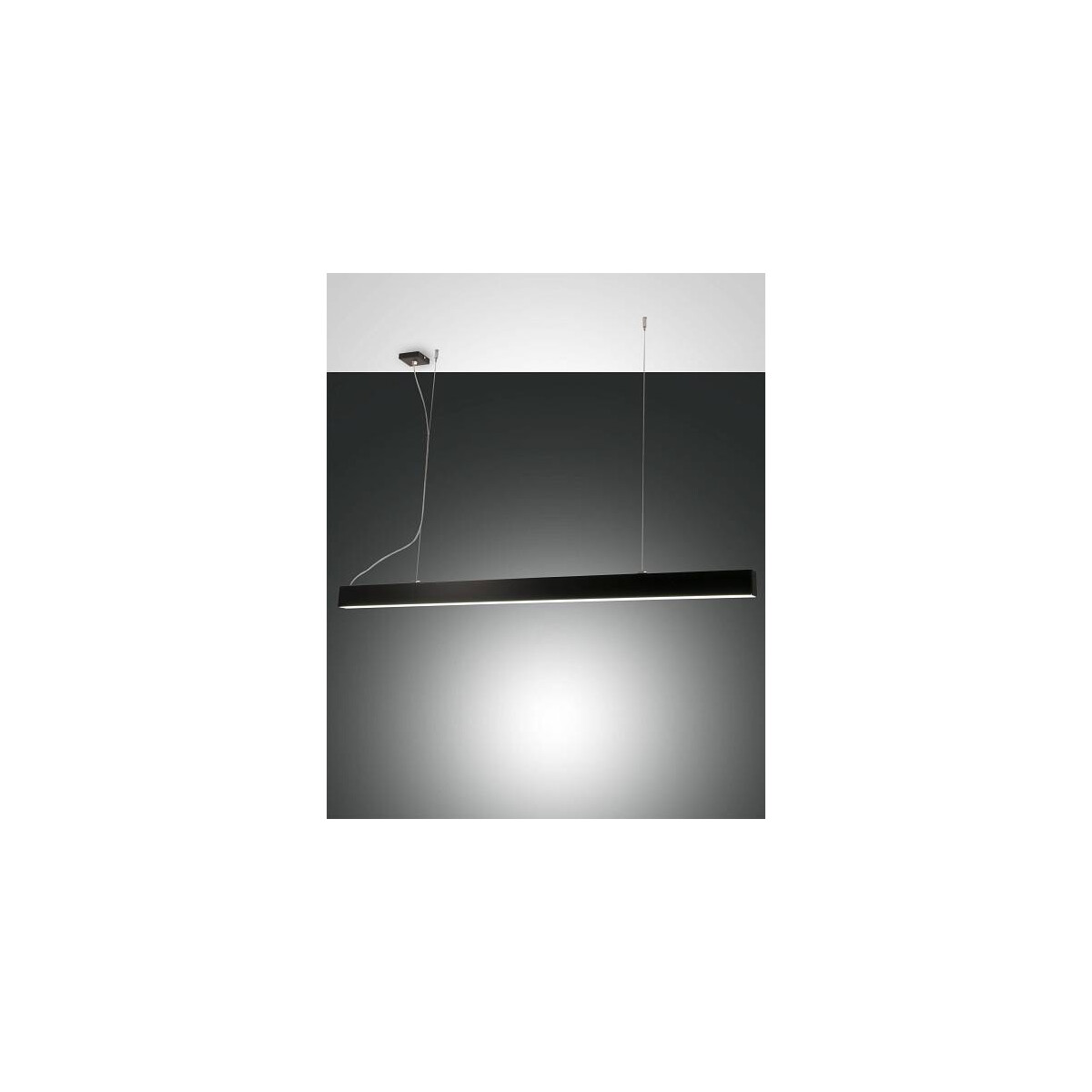 8019282533566 - Fabas Luce Lighting - Fabas Luce Next LED-Deckenpendelleuchte mit integrierter Leuchte aus schwarzem Glas