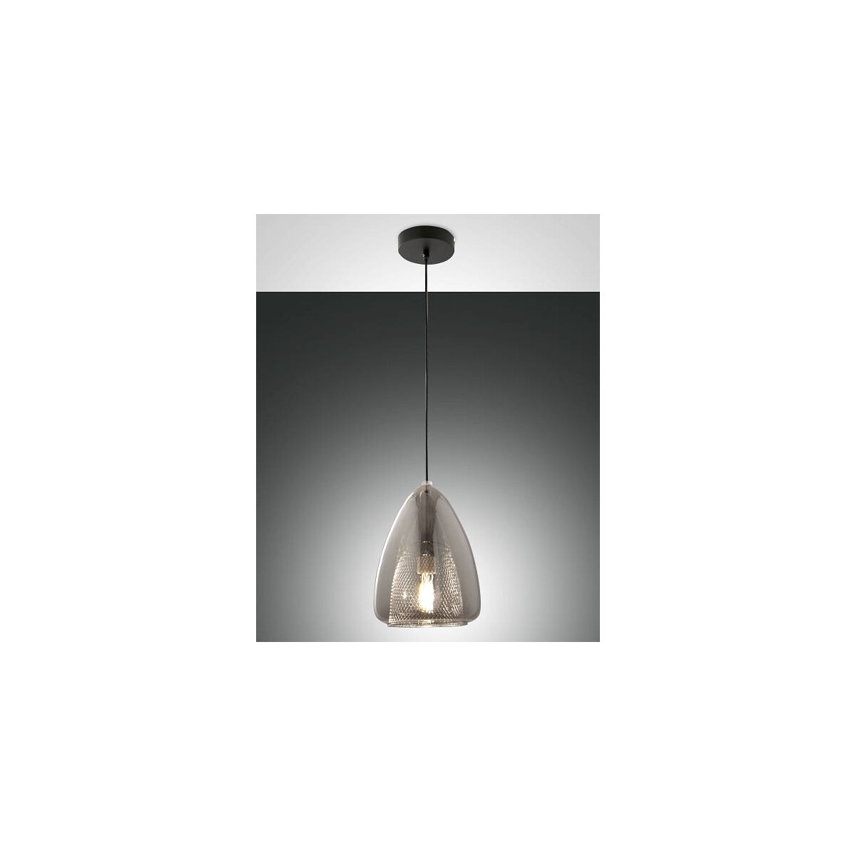 8019282534174 - Fabas Luce Lighting - Fabas Luce Britton Dome Pendel-Deckenleuchten transparentes graues Glas E27