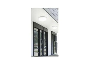 8021000052426 - Trade Shop Traesio - garten-deckenleuchte led 24W natürliches warmes kaltes licht IP65 ES52 Kühles Weiß - Kühles Weiß