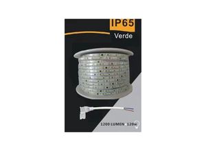 8021000206447 - Trade Shop Traesio - 3535 led streifen 220V 12W 120LED MT 100 mt 8MM verschiedene lichtfarben 3535-120D Grün - Grün