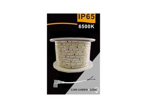 8021000206454 - 3535 LED STREIFEN 220V 12W 120LED MT 100 MT 8MM VERSCHIEDENE LICHTFARBEN 3535-120D Kühles Weiß