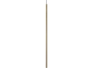 8021696263700 - Ideal Lux Lighting - Ideal Lux filo Tall Slim Pendelleuchte Messing 3000K