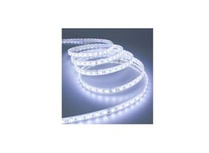 8022044163208 - Trade Shop Traesio - reel led streifen 5050 flexibel 5 m klebendes licht innen aussen IP65 streifen Kühles Weiß - Kühles Weiß