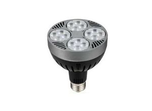 8022044598901 - Trade Shop Traesio - lampe birne PAR30 E27 36 watt 24 led strahler kaltes licht P30-1 spot