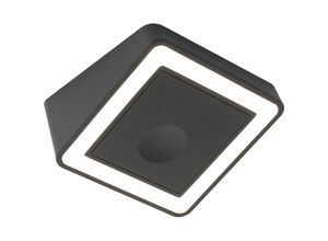 8027934541937 - Led Unterbauleuchte Touch Hipso ob D-Motion Ringleuchte punktfrei Kunststoff schwarz - Domus Line