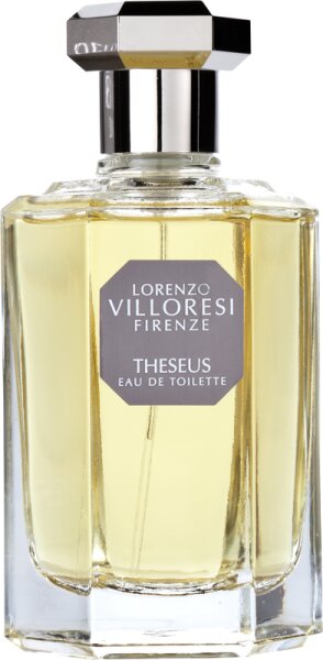 8028544102587 - Theseus Eau de Toilette (EdT) 100 ml