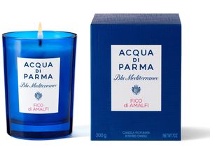 8028713821592 - ACQUA DI PARMA Duftkerze Fico di Amalfi blau