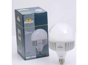 8031874096525 - - LED-Lampe E27 hohe Leistung -50W ø118mm Lichtfarbe Warmweiß - Warmweiß