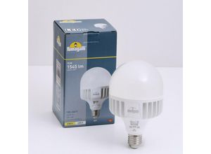 8031874248313 - Hochleistungs-LED-Lampe E27 - 15W - CCT - - ø 100 mm