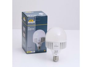 8031874248320 - - Hochleistungs-LED-Lampe E27 - 30W - cct ø 100 mm